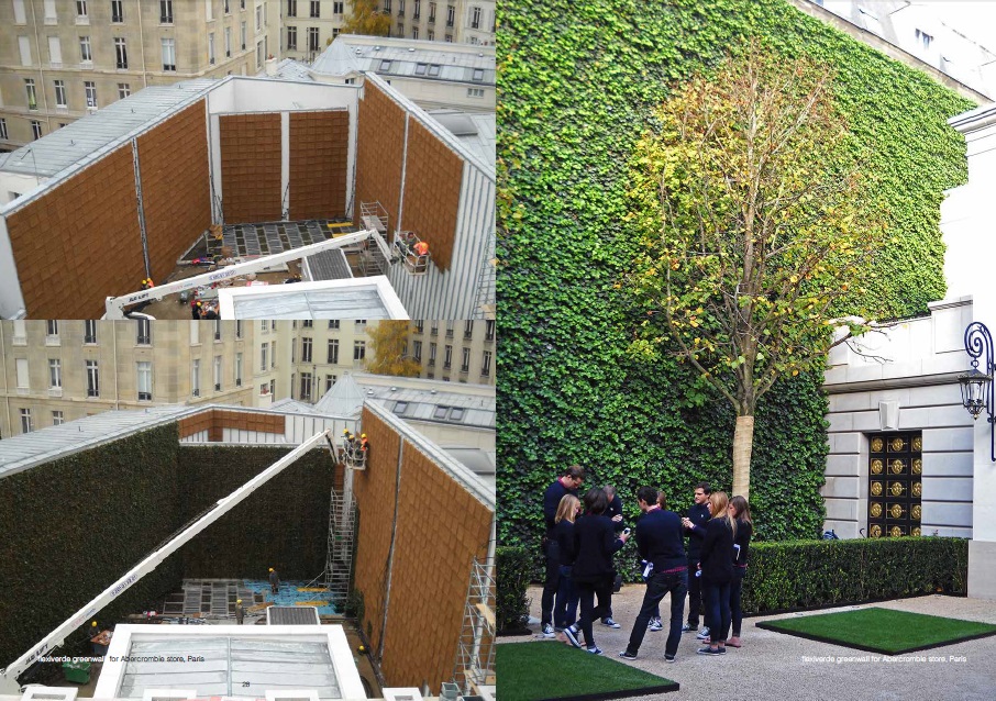 by poliflor - flexiverde greenwall Abercrombie store Paris - green economy studio baroni